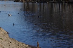 Avanos ırmak kıyısı