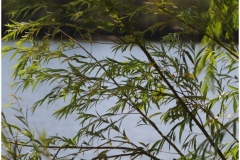 AVANOS-ORHAN-AY-2025-FOTOGRAFLARI-NEVSEHIR-FOTOGRAFCIIMG_0762-12