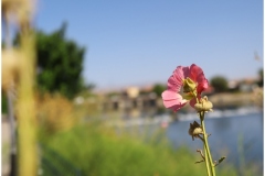 AVANOS-ORHAN-AY-2025-FOTOGRAFLARI-NEVSEHIR-FOTOGRAFCIIMG_0762-15