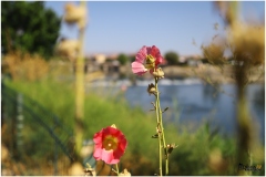 AVANOS-ORHAN-AY-2025-FOTOGRAFLARI-NEVSEHIR-FOTOGRAFCIIMG_0762-16