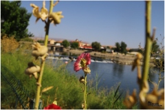 AVANOS-ORHAN-AY-2025-FOTOGRAFLARI-NEVSEHIR-FOTOGRAFCIIMG_0762-17