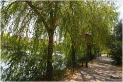 AVANOS-ORHAN-AY-2025-FOTOGRAFLARI-NEVSEHIR-FOTOGRAFCIIMG_0762-2