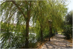 AVANOS-ORHAN-AY-2025-FOTOGRAFLARI-NEVSEHIR-FOTOGRAFCIIMG_0762-3