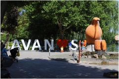 AVANOS-ORHAN-AY-2025-FOTOGRAFLARI-NEVSEHIR-FOTOGRAFCIIMG_0762-35