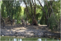 AVANOS-ORHAN-AY-2025-FOTOGRAFLARI-NEVSEHIR-FOTOGRAFCIIMG_0762-42