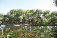 AVANOS-ORHAN-AY-2025-FOTOGRAFLARI-NEVSEHIR-FOTOGRAFCIIMG_0762-43