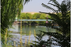 AVANOS-ORHAN-AY-2025-FOTOGRAFLARI-NEVSEHIR-FOTOGRAFCIIMG_0762-49