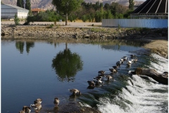 AVANOS-ORHAN-AY-2025-FOTOGRAFLARI-NEVSEHIR-FOTOGRAFCIIMG_0762-55