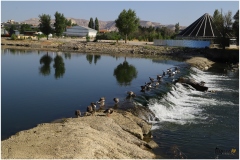 AVANOS-ORHAN-AY-2025-FOTOGRAFLARI-NEVSEHIR-FOTOGRAFCIIMG_0762-56