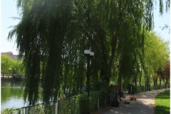 AVANOS-ORHAN-AY-2025-FOTOGRAFLARI-NEVSEHIR-FOTOGRAFCIIMG_0762-6