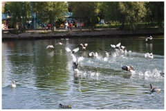 nevsehirfotografci-avanos-fotograflari-14