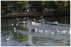 nevsehirfotografci-avanos-fotograflari-15