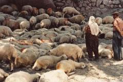 1972-goreme-urgup