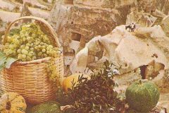 1973-turizm-tanitim
