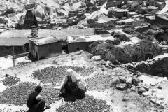 uchisar-kayisi-kurutma-ani-1955-goreme