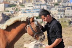 cappadocia-at-sevdasi