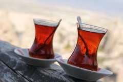 cay-bardagi-dost
