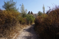 DSC01433