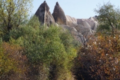 DSC01434