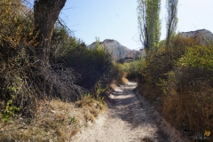 DSC01451