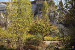DSC01491