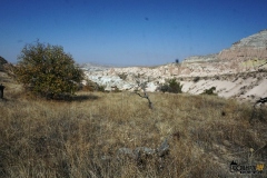 DSC01549
